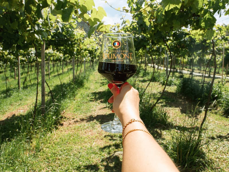 Apresentamos o Tour Exclusivo da Vitivinícola Jolimont